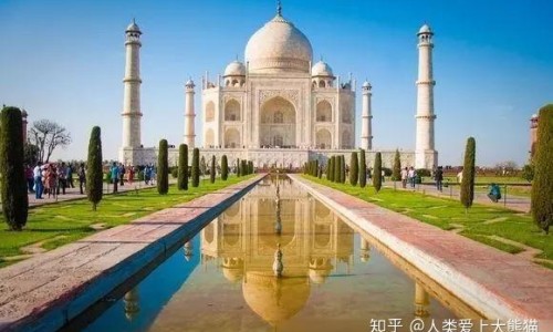 青佩兰的功效网 - 网站提供青佩兰种植时间小常识、天津格林国际幼儿园学费