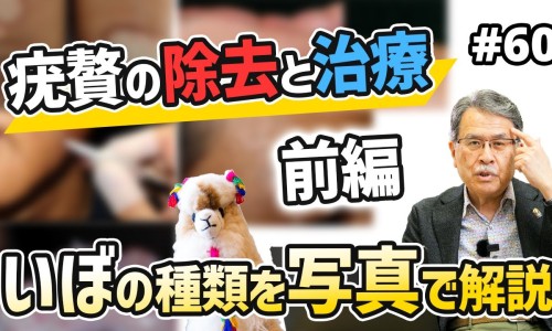 青佩兰的功效与作用-青佩兰的功效网 - 网站提供青佩兰种植时间小常识、天津格林国际幼儿园学费